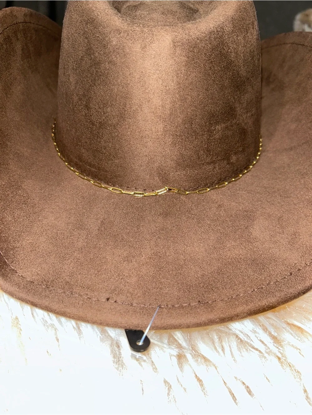 Anthropologie Brown Cowboy Hat with Gold Accent